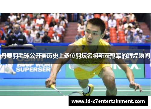 丹麦羽毛球公开赛历史上多位羽坛名将斩获冠军的辉煌瞬间 丹麦羽毛球公开赛历史上多位羽坛名将斩获冠军的辉煌瞬间