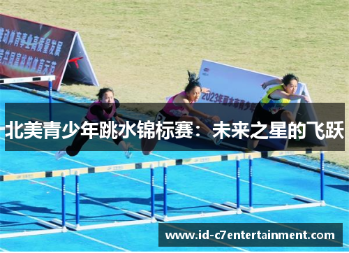 北美青少年跳水锦标赛:未来之星的飞跃 北美青少年跳水锦标赛:未来之星的飞跃