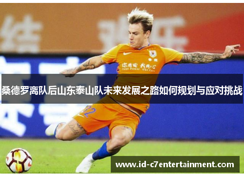 桑德罗离队后山东泰山队未来发展之路如何规划与应对挑战 桑德罗离队后山东泰山队未来发展之路如何规划与应对挑战