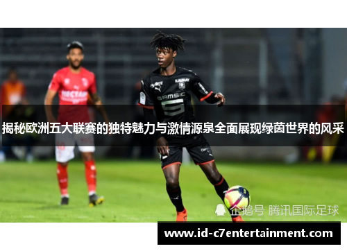 揭秘欧洲五大联赛的独特魅力与激情源泉全面展现绿茵世界的风采 揭秘欧洲五大联赛的独特魅力与激情源泉全面展现绿茵世界的风采