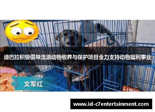 迪巴拉积极倡导流浪动物收养与保护项目全力支持动物福利事业 迪巴拉积极倡导流浪动物收养与保护项目全力支持动物福利事业